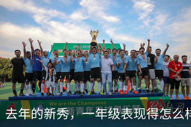 去年的新秀，一年级表现得怎么样呢【上】