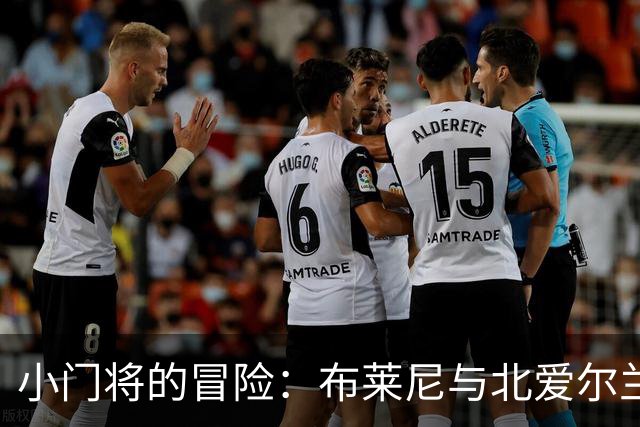 小门将的冒险：布莱尼与北爱尔兰的足球梦