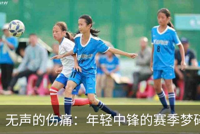 无声的伤痛：年轻中锋的赛季梦碎